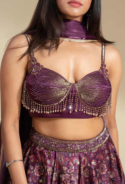 Elixir Wine Glass Organza With Crystal Tassled Blouse And Organza Lehenga